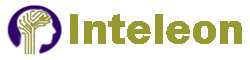 INTELEON INTELLIGENCE CORP.